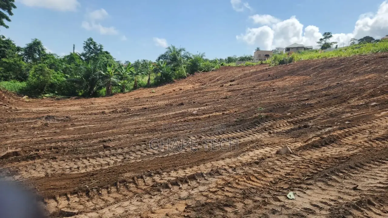 Construction and Supervision Services