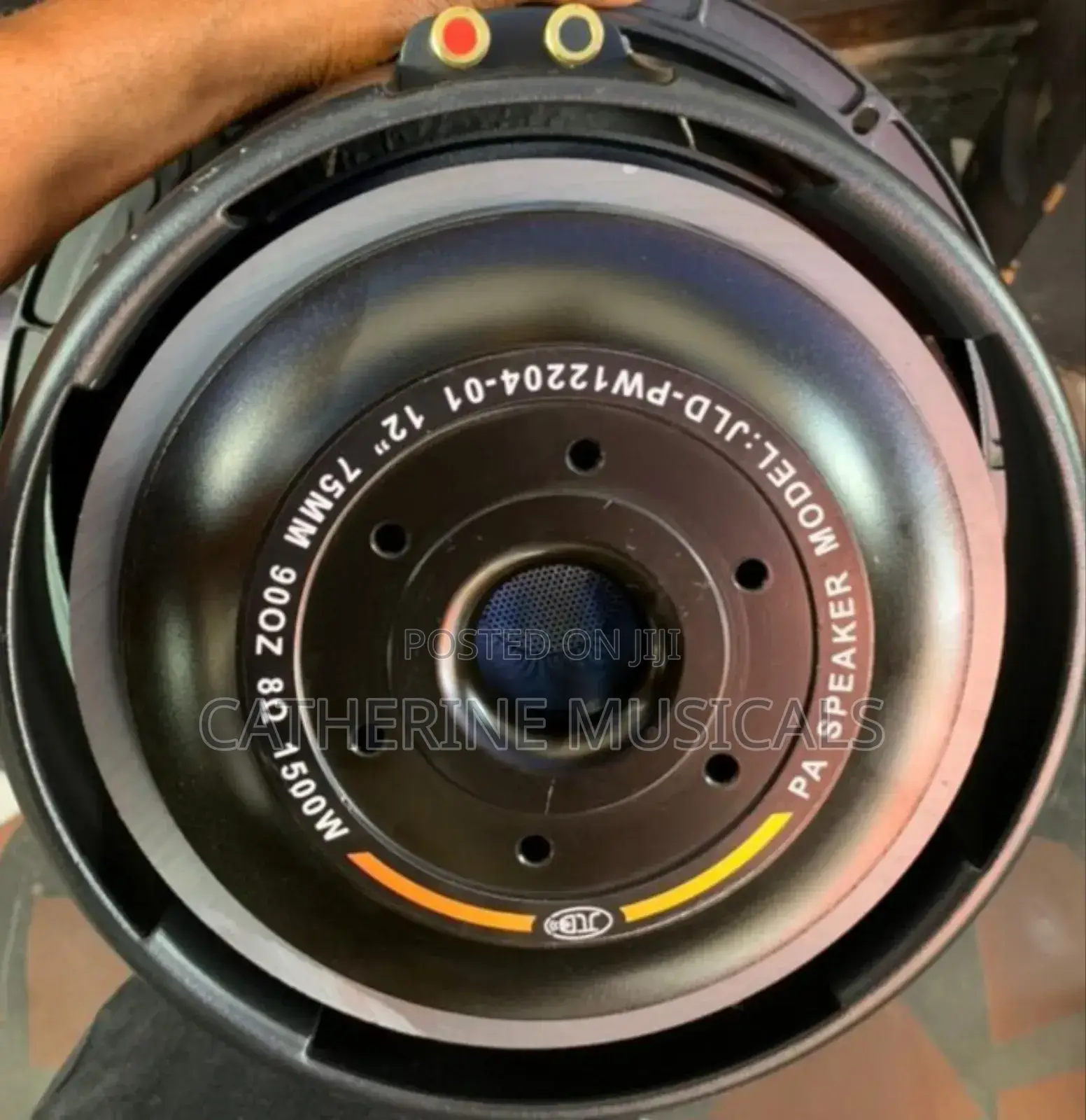JLD 12 Inches Double Magnet Naked Speaker