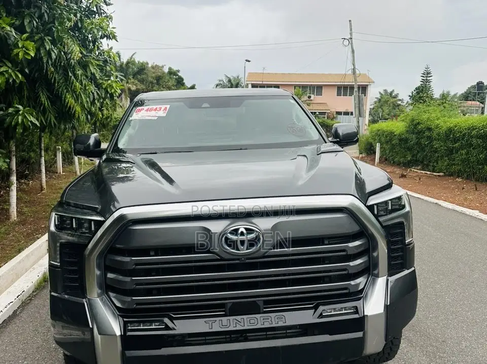 Toyota Tundra Limited Double Cab 6.5' Bed 2023 Gray