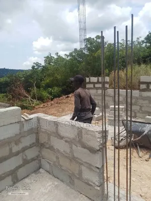Are You Looking for a Professional Mason?