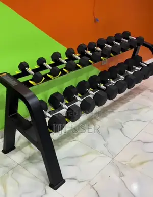 Dumbbell Rack With Weight