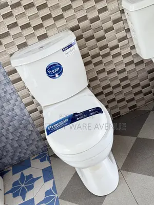 Water Closet _ Big Tank Toilet