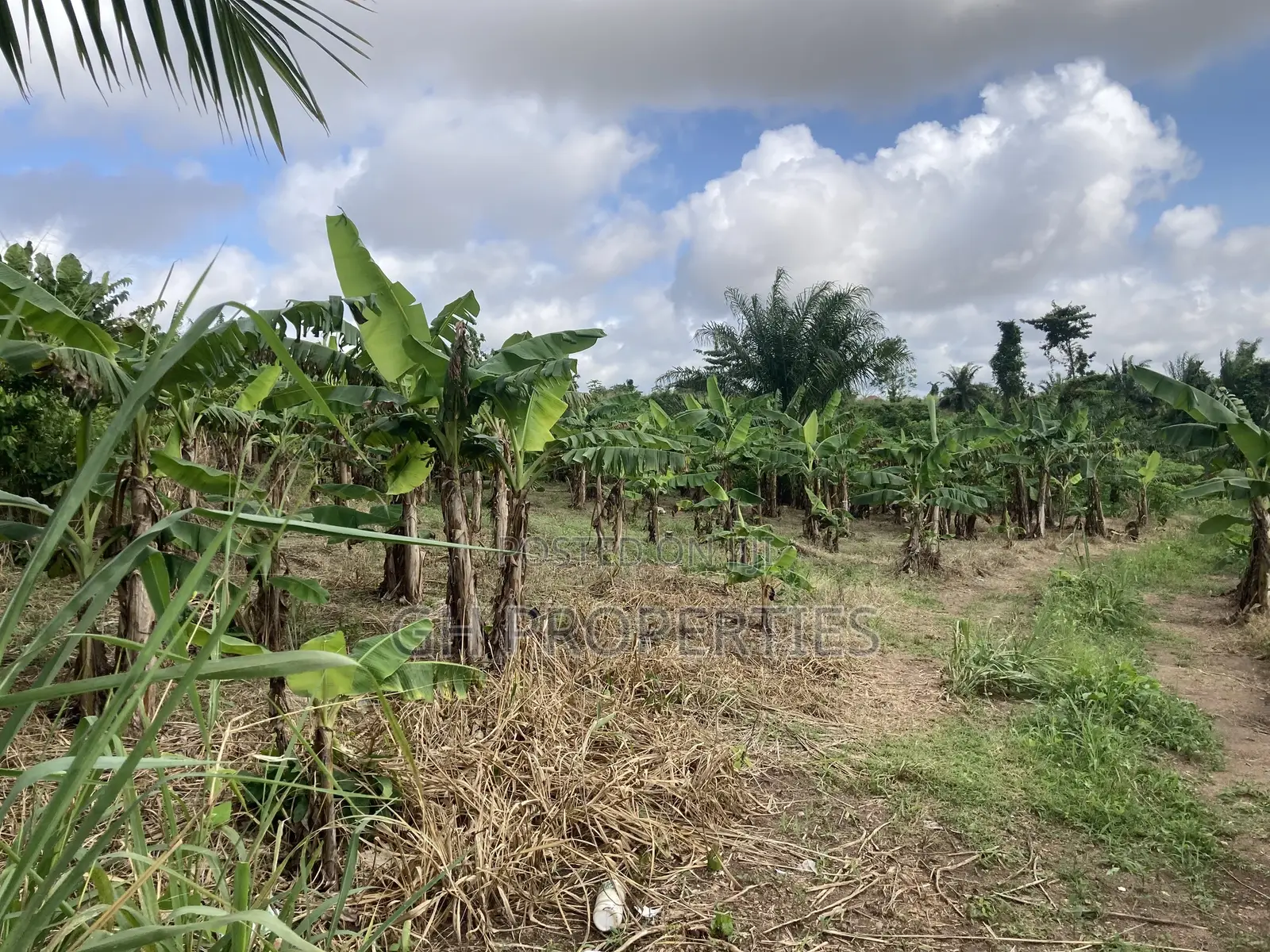 Full Plot for Sale at Kankre Trade Road