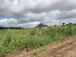 Full Plot for Sale at Kankre Trade Road