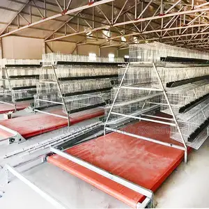 Commercial Conveyor Battery Cage (960 Birds Capacity)