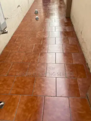 Detailed Cleaners