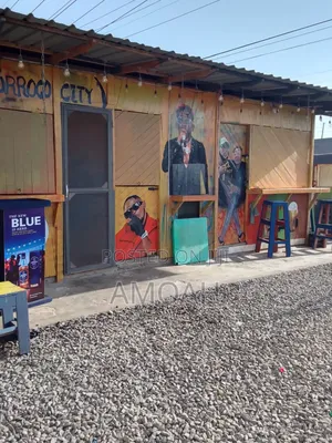 Mural Painting Artist