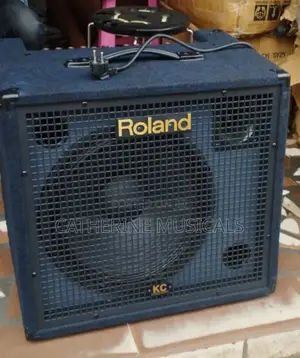 Roland Kc550 Keyboard Combo