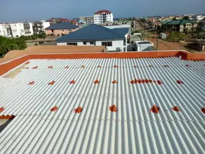 Roof Leakage Treatment
