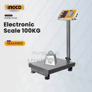 300kg Platform Weighing Scale for Maize or Feed