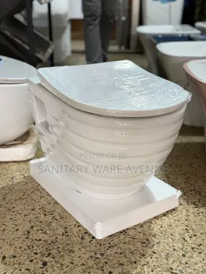 Concealed Water Closet _ Hanging Toilet