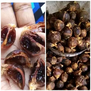 Gorontula Seed