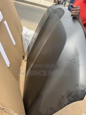 Toyota Land Cruiser 300 Original Bonnet