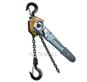 Raptor 1t×3m Lever Block Hoist