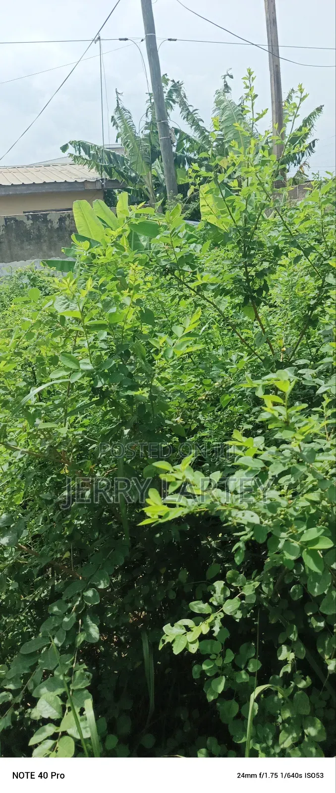 5bdrm Apartment in Dansoman for sale