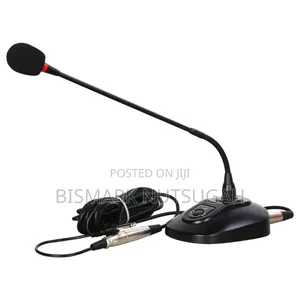 Wireless Microphone for Sale