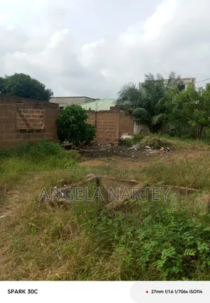 Titled One Plot Close to Manet, Spintex