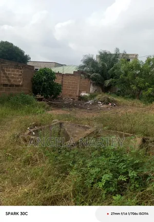 Titled One Plot Close to Manet, Spintex