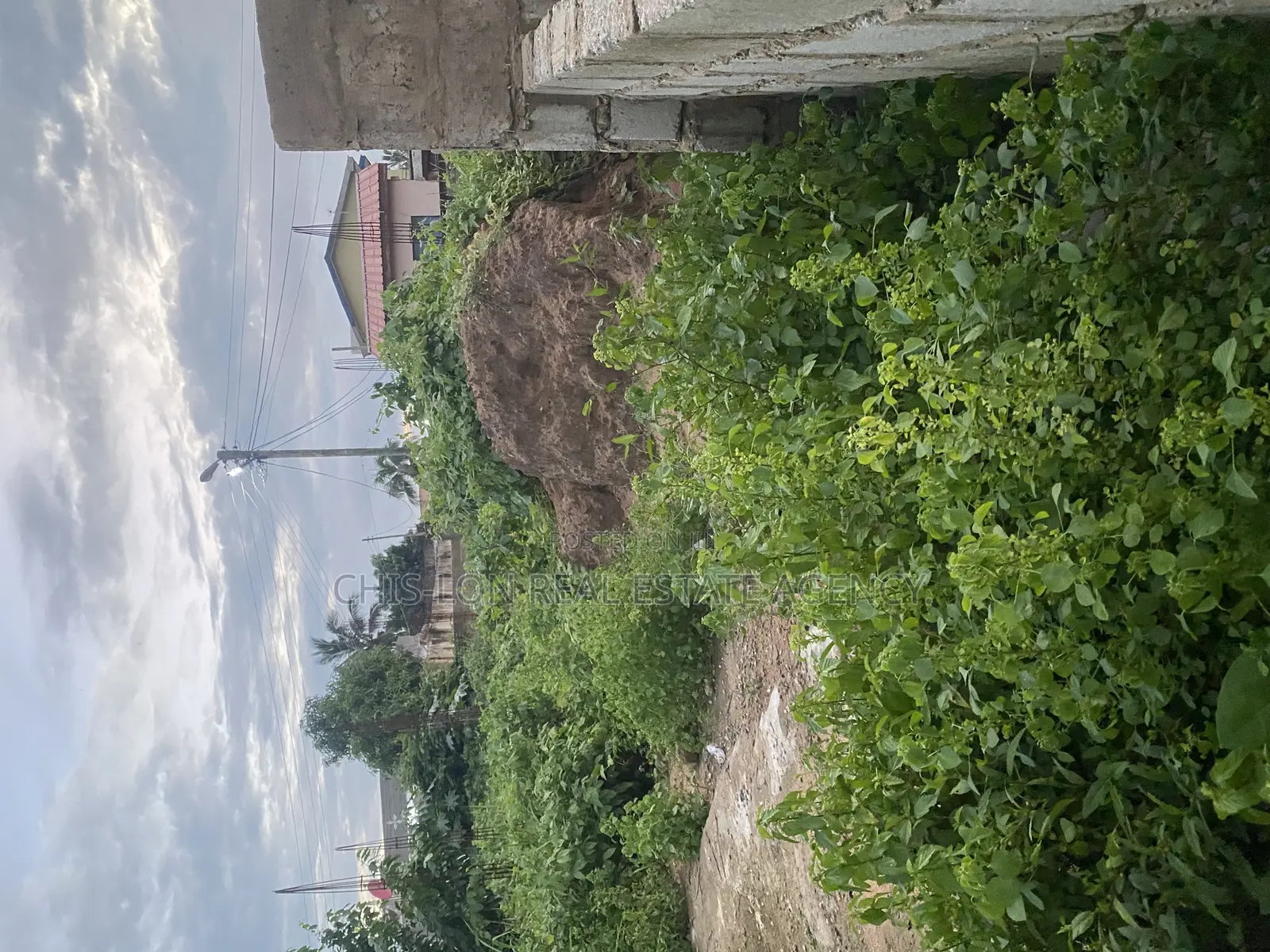 Title Land for Sale.