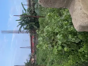 Title Land for Sale.