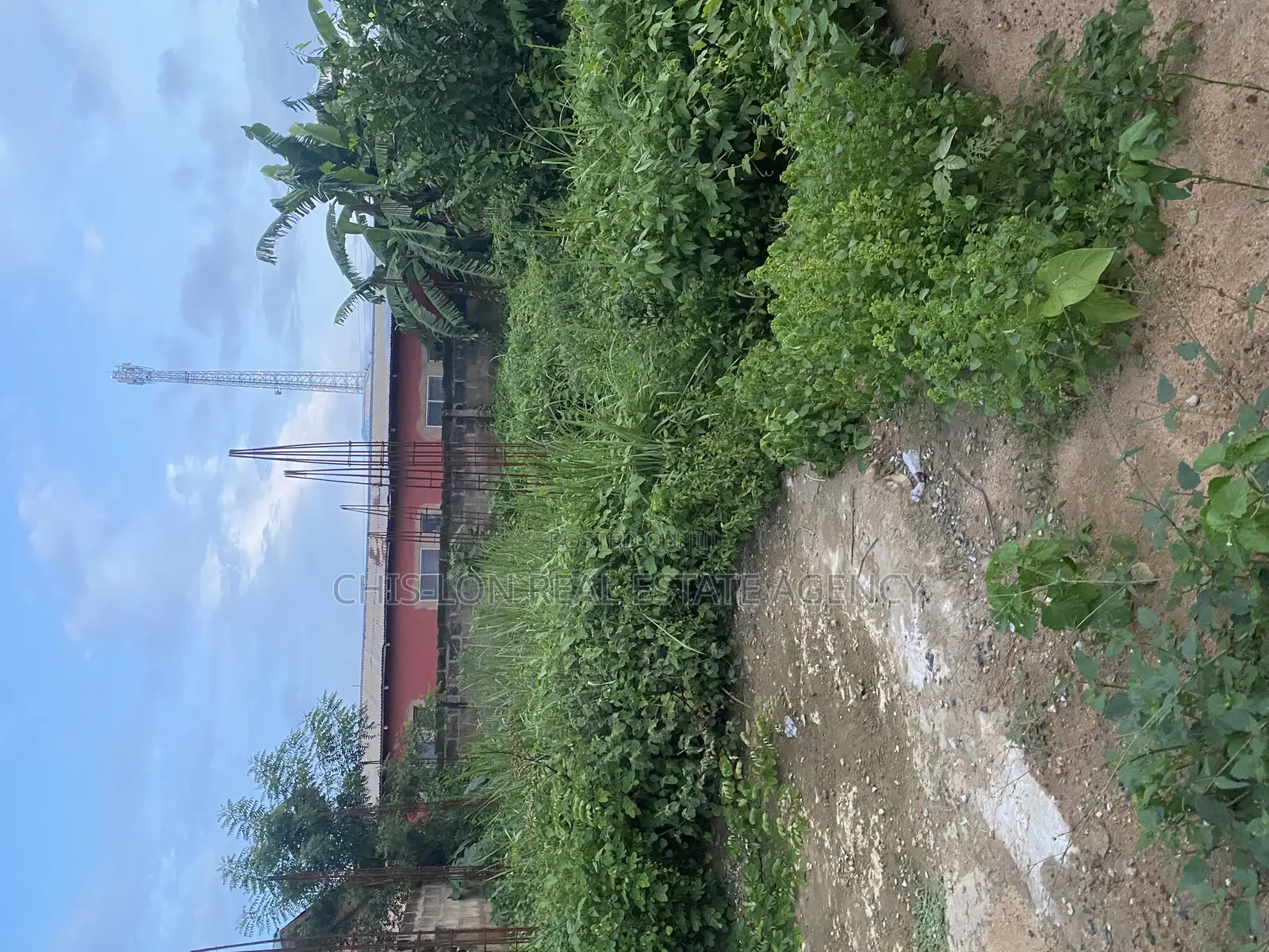 Title Land for Sale.