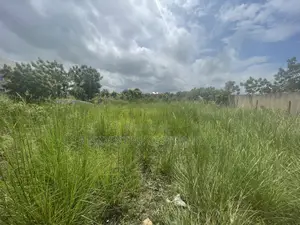 Titled Residential Land – 1 Acre Opposite Gb Oil, Abekope