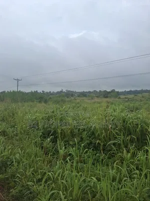 Main Road Land for Sale