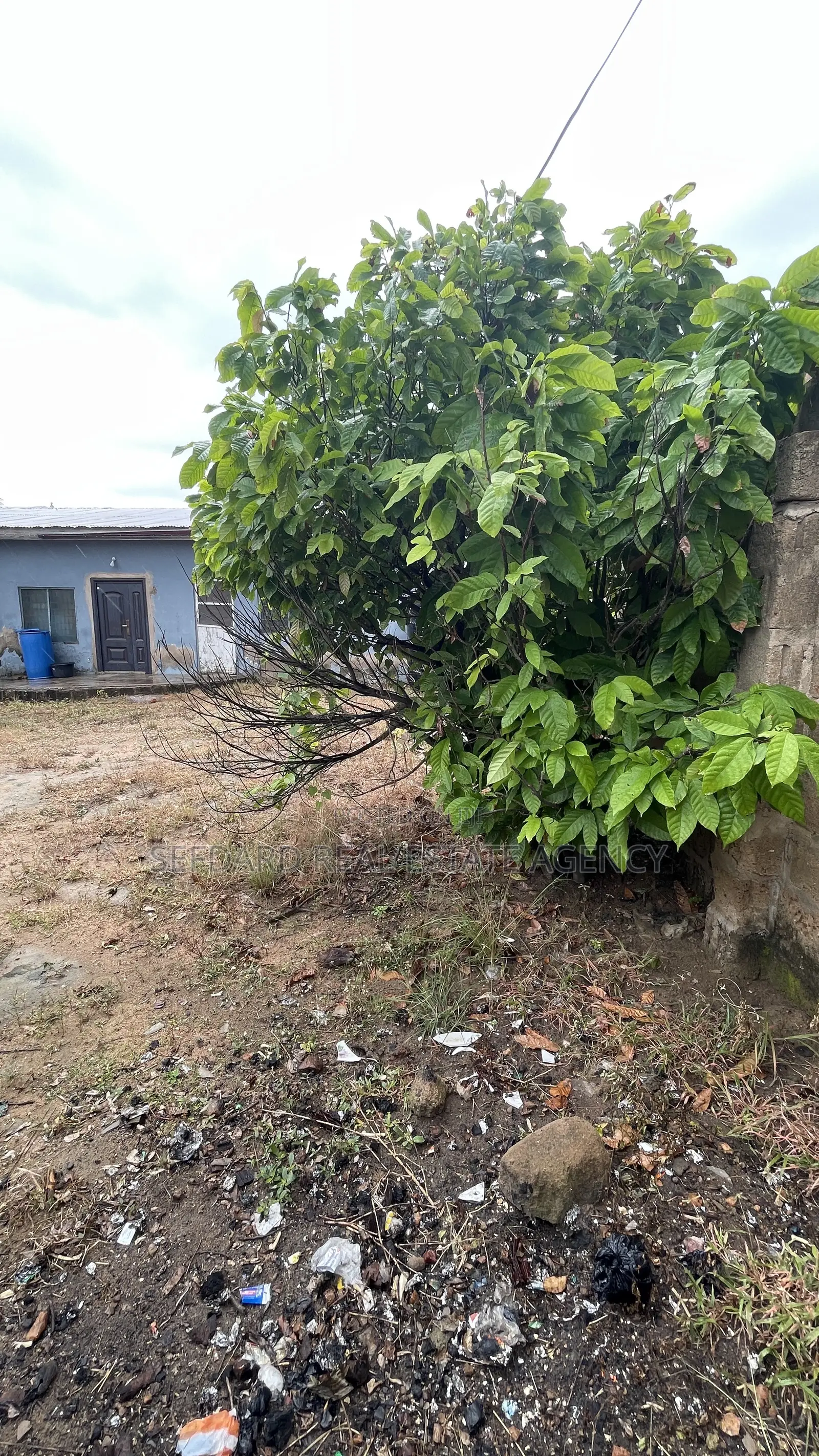 3bdrm House in Sefdard Real Estate, Amasaman for sale