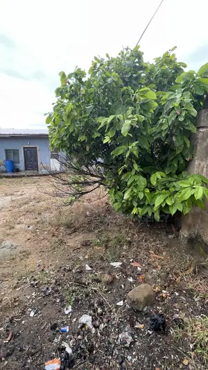 3bdrm House in Sefdard Real Estate, Amasaman for sale