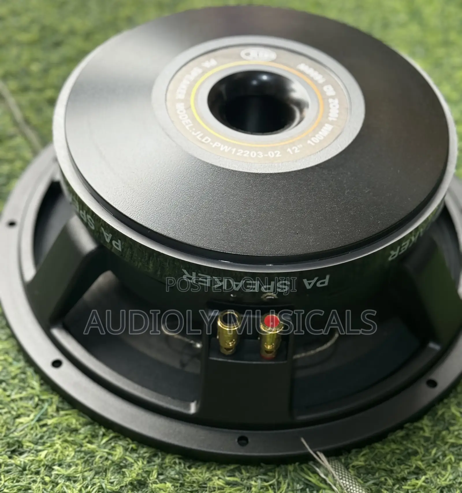 JLD 12 Inches Double Magnet 1600wtt