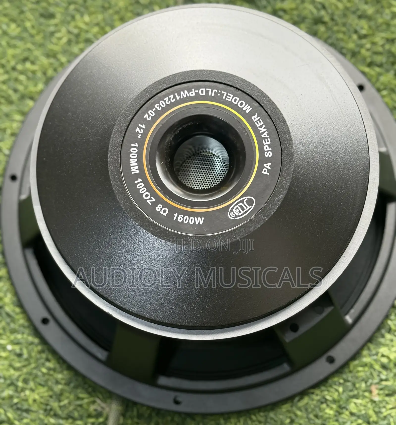 JLD 12 Inches Double Magnet 1600wtt