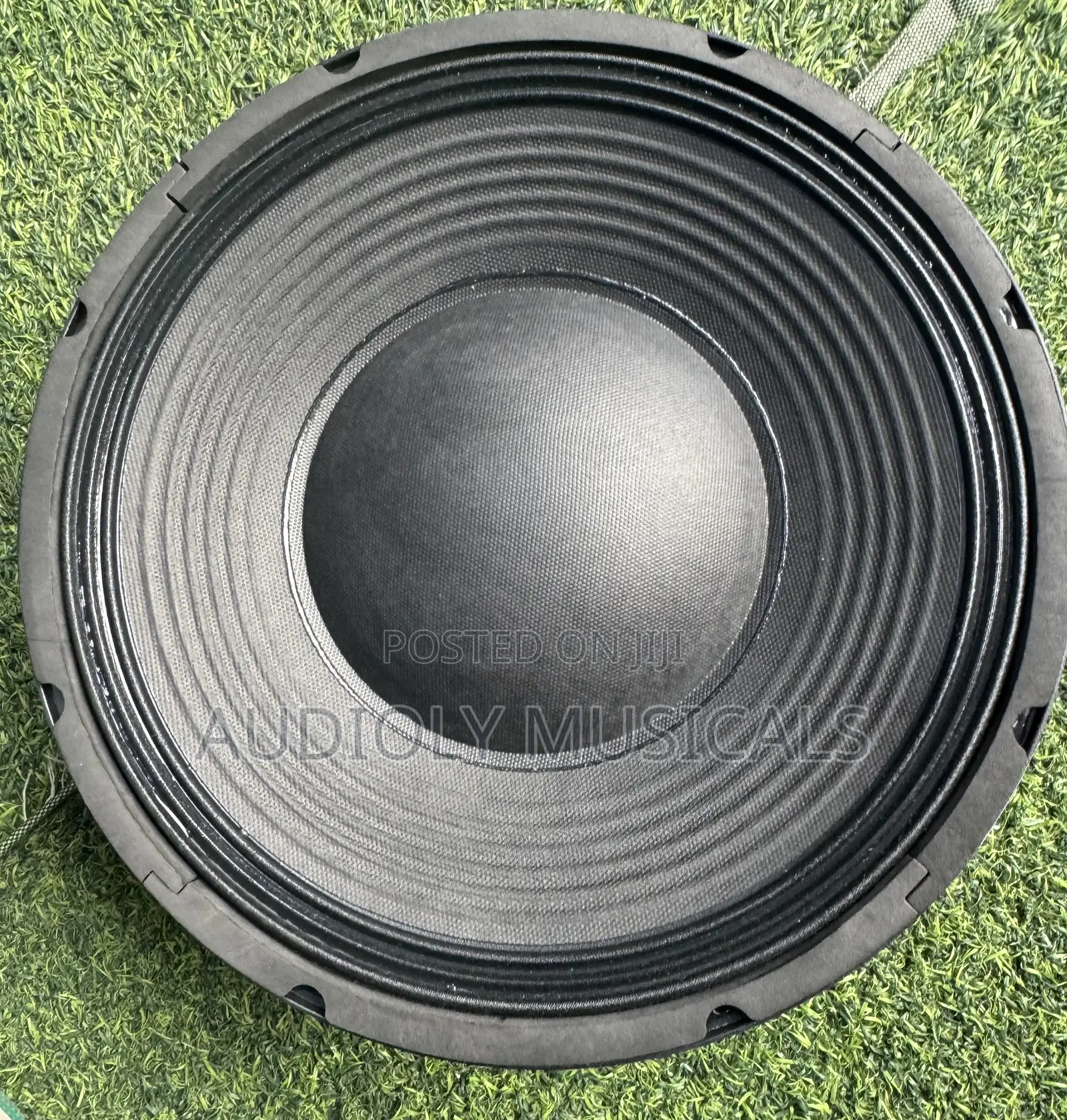 JLD 12 Inches Double Magnet 1600wtt