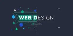 Professional Website Design and Development Service