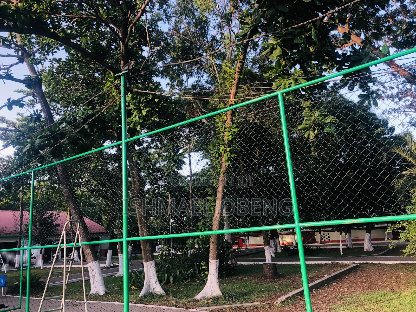 Astroturf Fencing