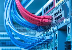 Computer Networking and It Services