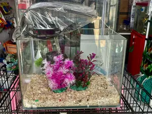 Queens Aquarium Package