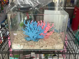 Robins Table Top Aquarium