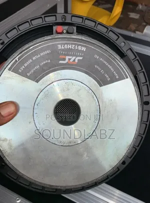 Jac 12 Inches Double Magnet Naked Speaker