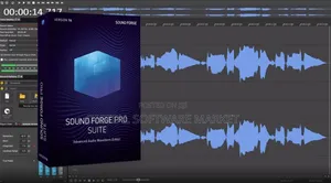 Magix Sound Forge Pro Suite 18 VST Plugin