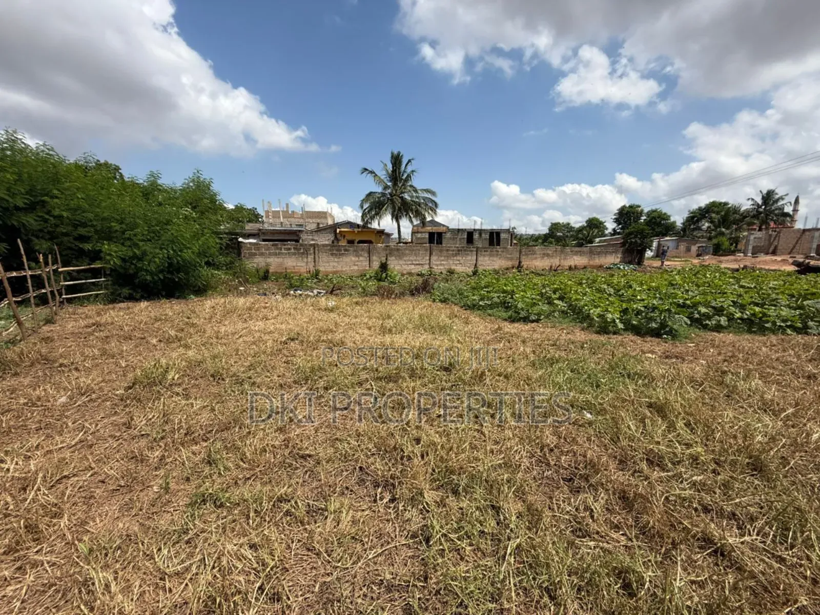 Residential Land at Ayikuma for Sale