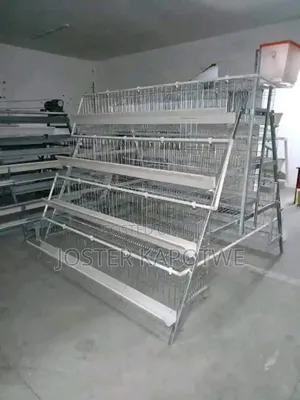 Chicken Cages