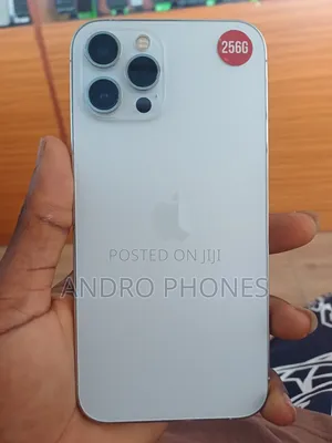 Apple iPhone 12 Pro Max 256 GB Silver