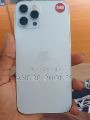 Apple iPhone 12 Pro Max 256 GB Silver
