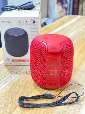 Ws-305 Mini Wireless Speaker