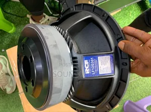 Rcf Lf12g301 12inches Naked Speakers