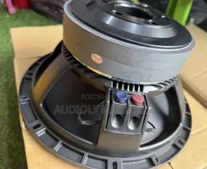 RCF 12 Inches Double Magnet Speaker