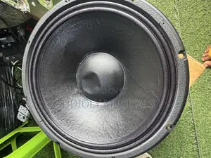 RCF 12 Inches Double Magnet Speaker