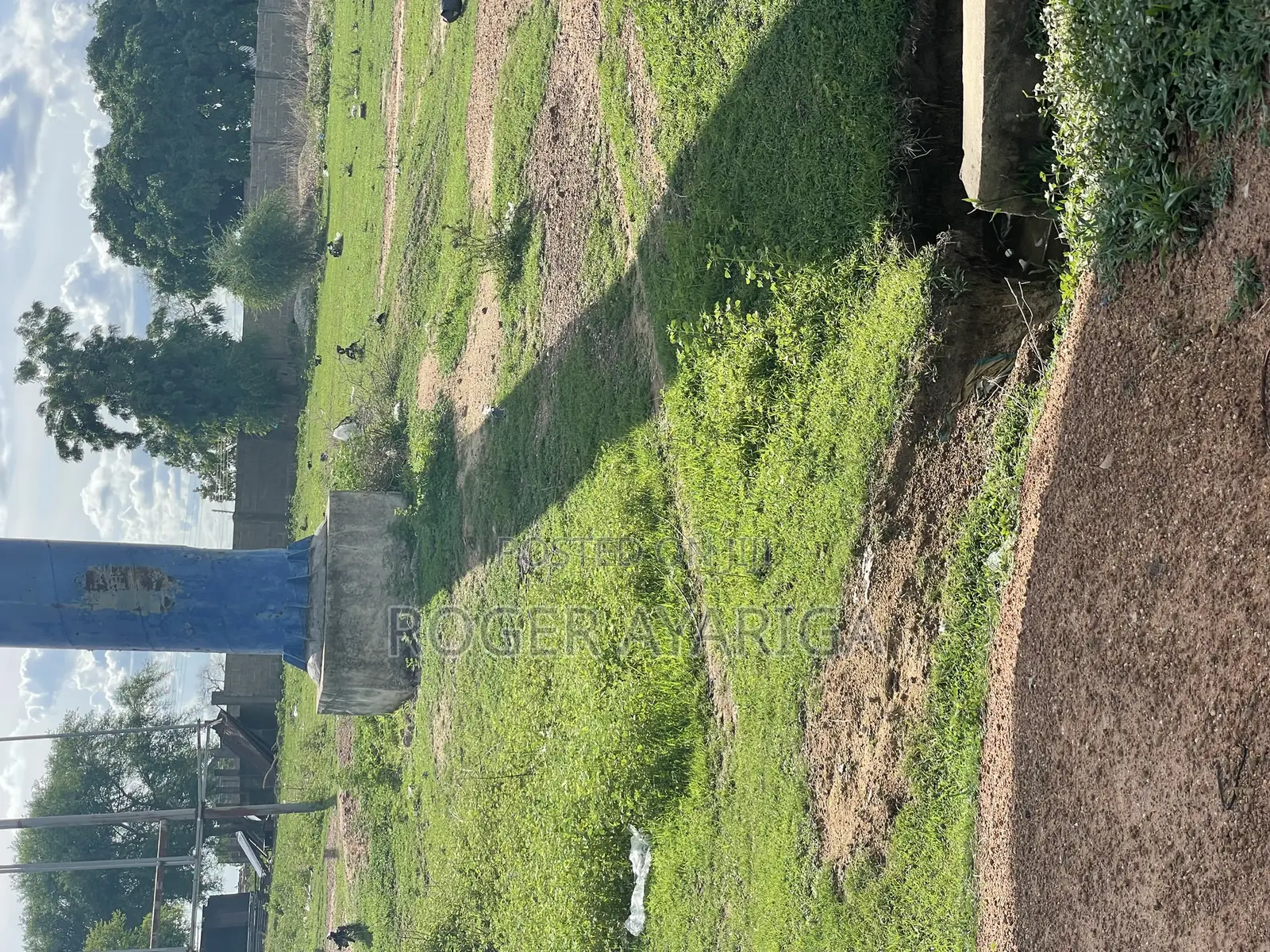 Four Plots With a Fenced Wall for Sale