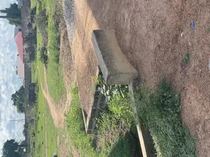Four Plots With a Fenced Wall for Sale
