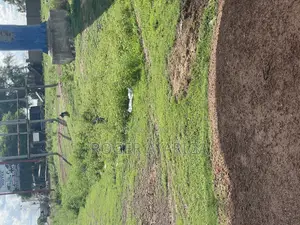 Four Plots With a Fenced Wall for Sale